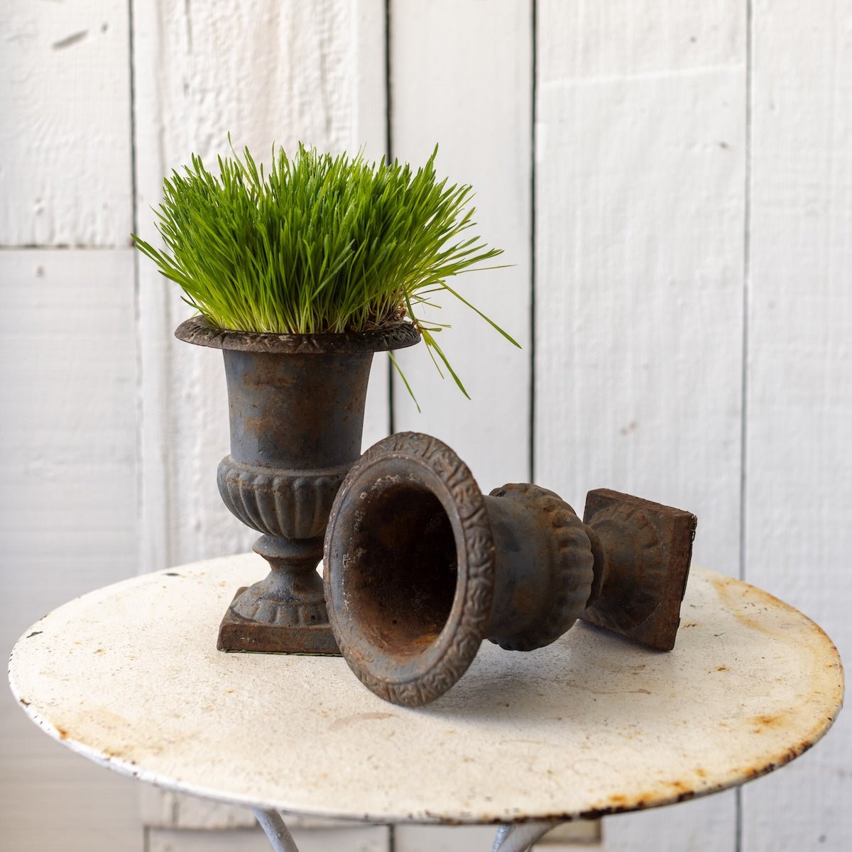 Cast Iron Garden Urn - elsie green - decor
