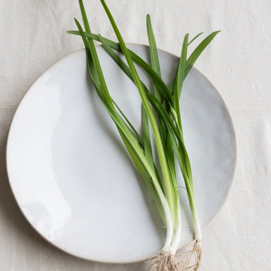 Chantilly Large Platter - elsie green - the french kitchen