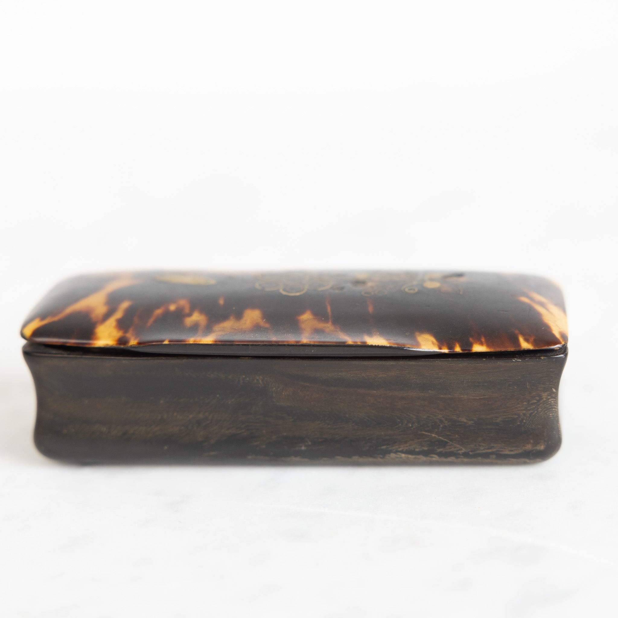 Collection of Horn Boxes - elsie green - decor