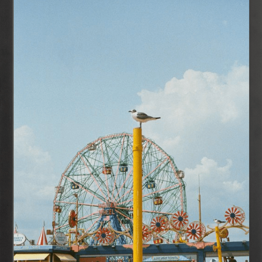 Coney Island Printed Photograph - elsie green - Art