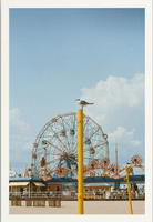 Coney Island Printed Photograph - elsie green - Art