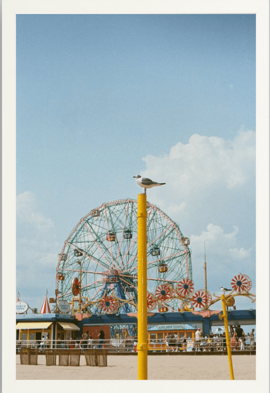 Coney Island Printed Photograph - elsie green - Art