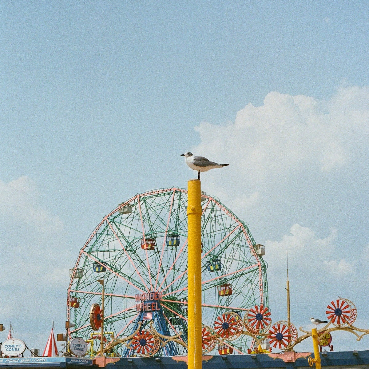 Coney Island Printed Photograph - elsie green - Art