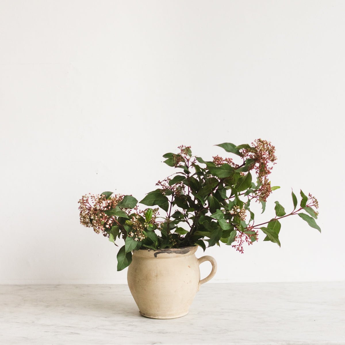 Cream Pitcher - elsie green - the french kitchen