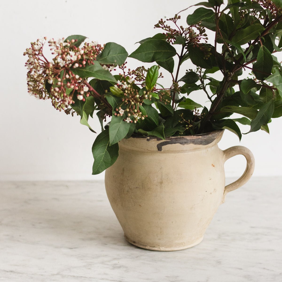 Cream Pitcher - elsie green - the french kitchen