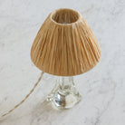 Crystal Accent Lamp with Straw Shade - elsie green - Decor