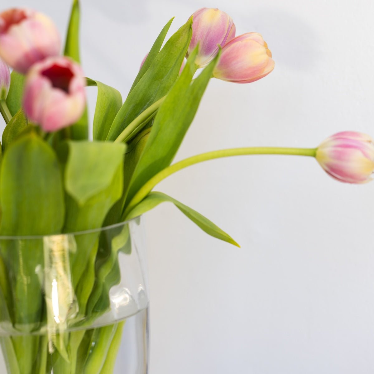 Cut Glass Candy Jar - elsie green - decor