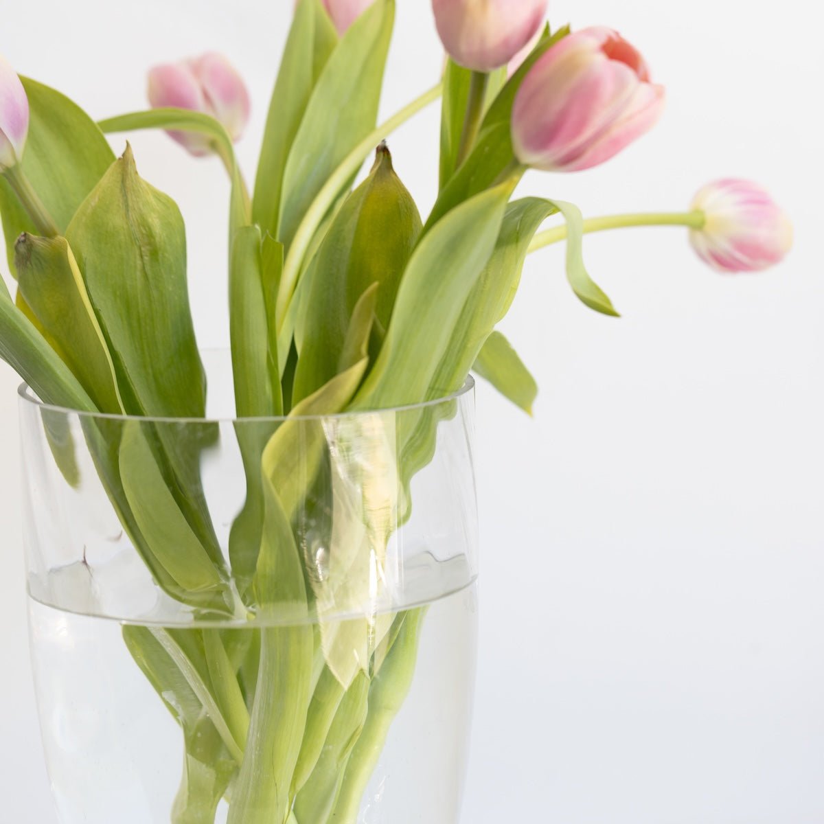 Cut Glass Candy Jar - elsie green - decor