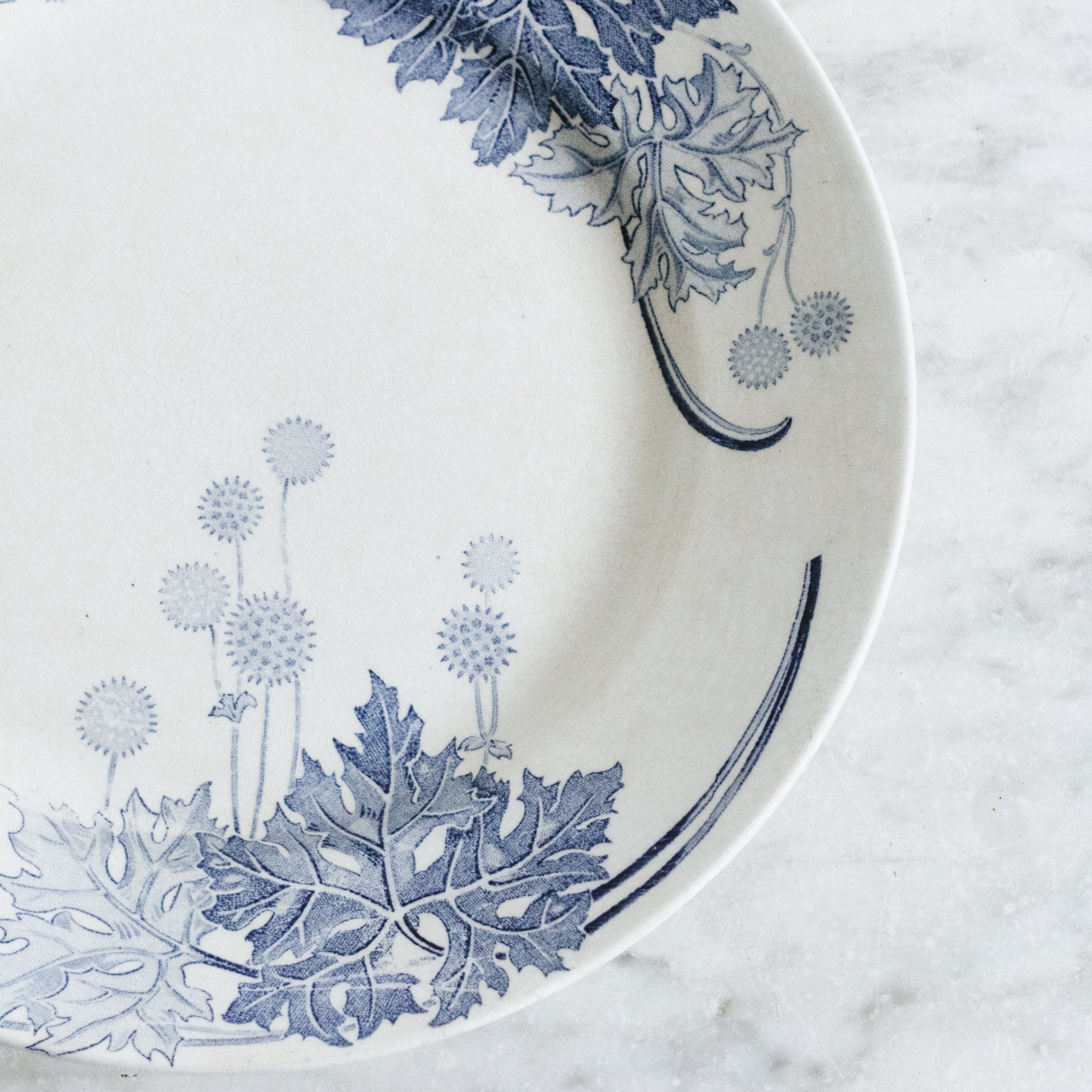 Dandelion Transferware Dinner Plate Set Of 4 - elsie green - The French Kitchen