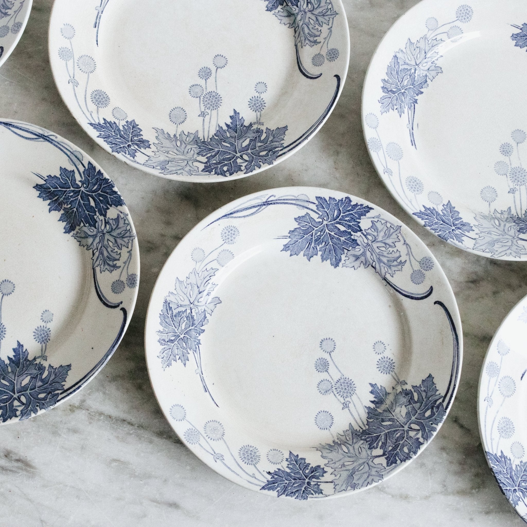 Dandelion Transferware Dinner Plate Set Of 4 - elsie green - The French Kitchen