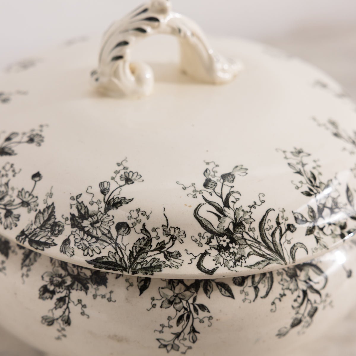 Dodds Transferware Tureen - elsie green - The French Kitchen