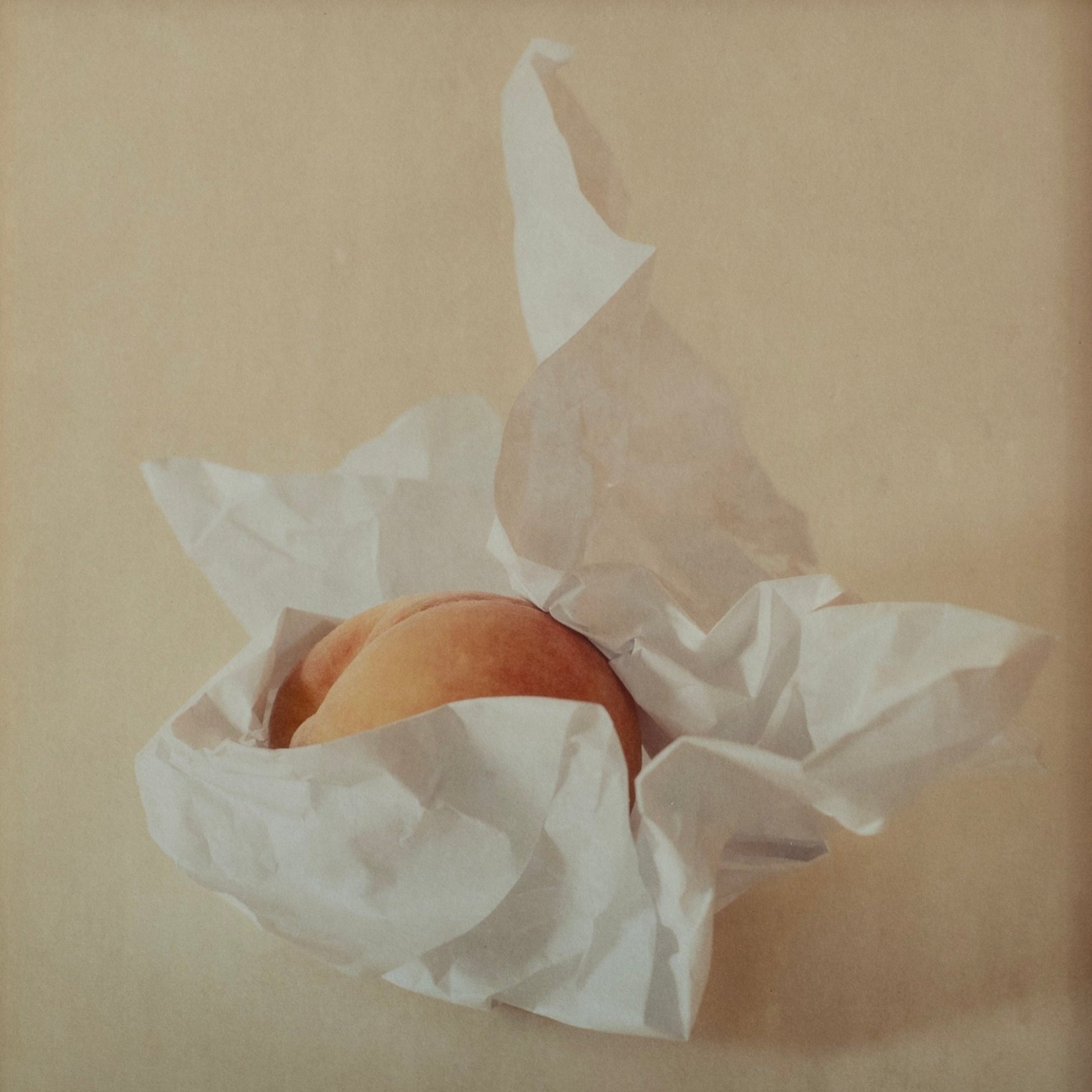 Eclipse | Jefferson Hayman - elsie green - art