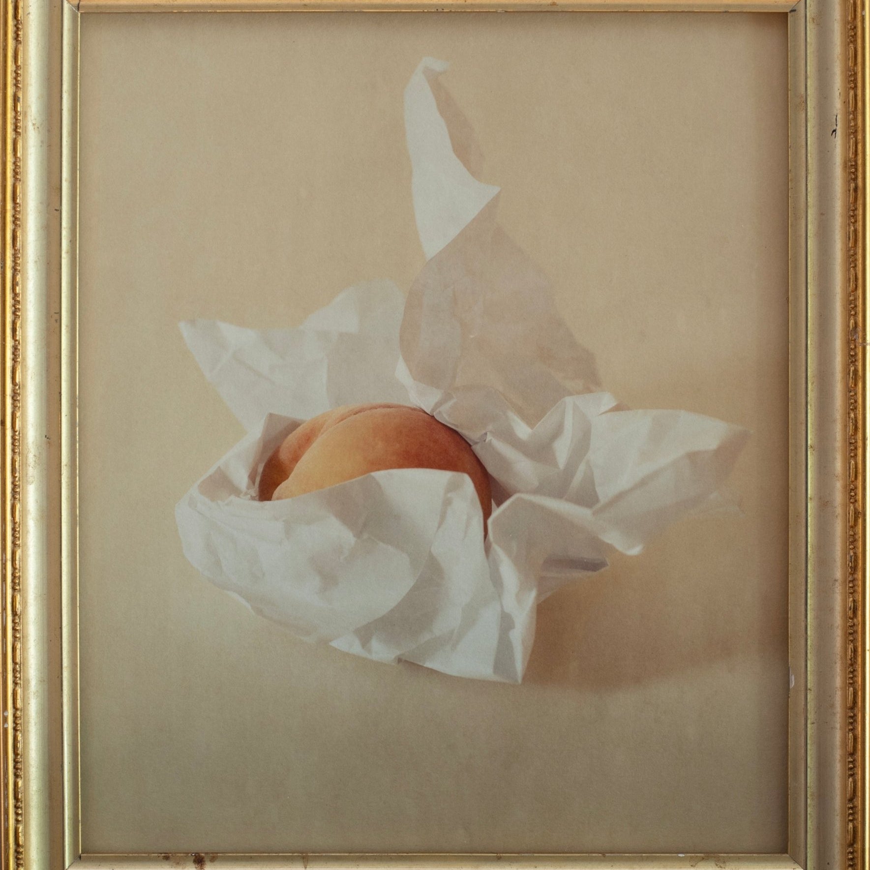 Eclipse | Jefferson Hayman - elsie green - art