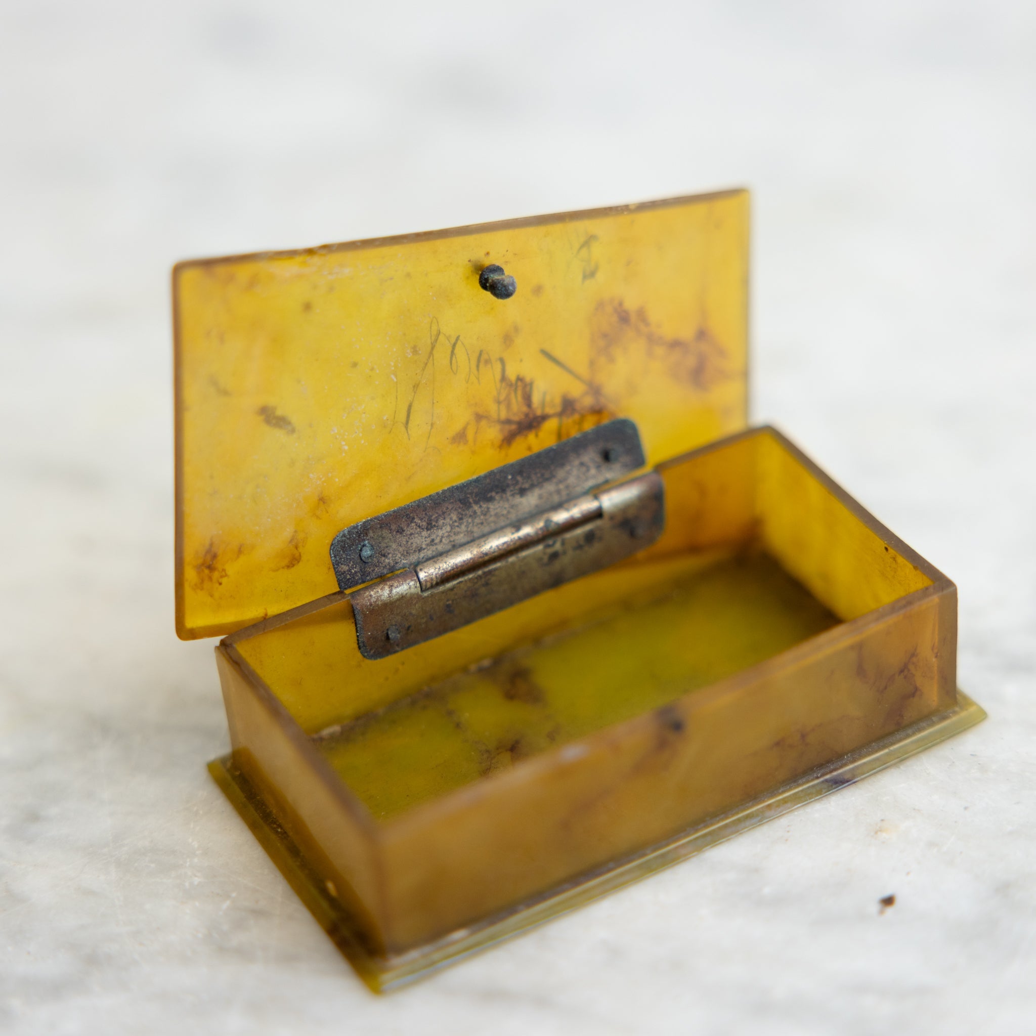 Engraved Horn Snuff Box | Versailles - elsie green - decor