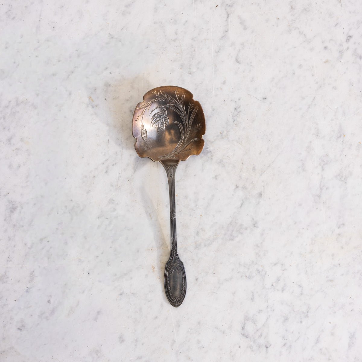 Engraved Silver Serving Spoon - elsie green - the french kitchen