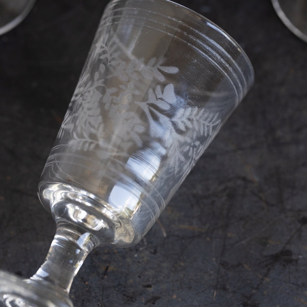 Etched Wine Glass Set of 5 - elsie green - the french kitchen