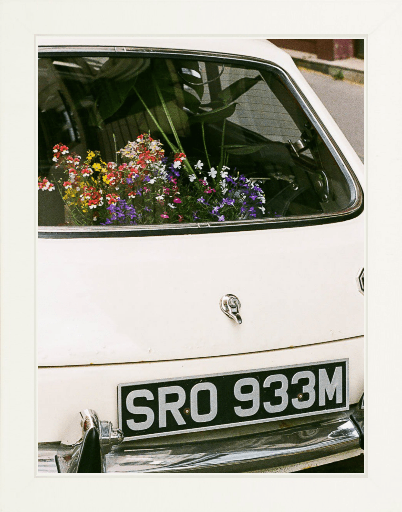 Fleurs à Emporter Printed Photograph - elsie green - Art