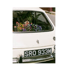 Fleurs à Emporter Printed Photograph - elsie green - Art