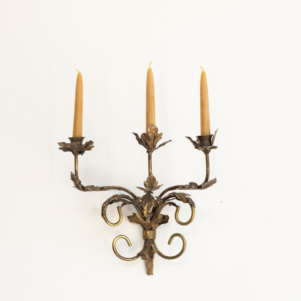 Gilded Botanical Candle Sconce - elsie green - decor
