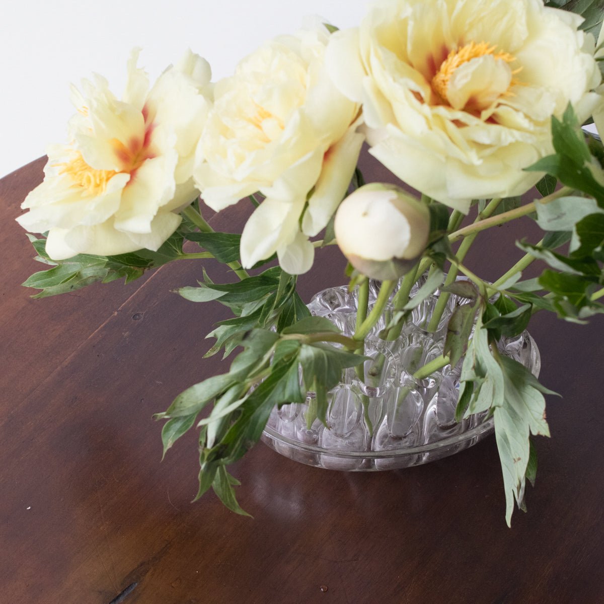 Grande Glass Flower Frog - elsie green - decor