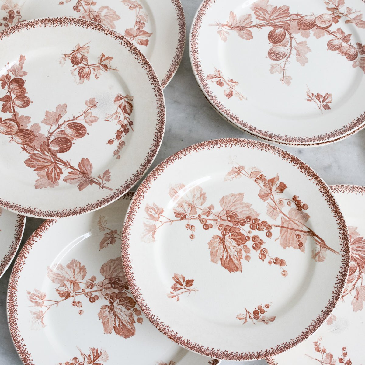 Grosseilles Transferware Dinner Plate Set Of 7 - elsie green - The French Kitchen