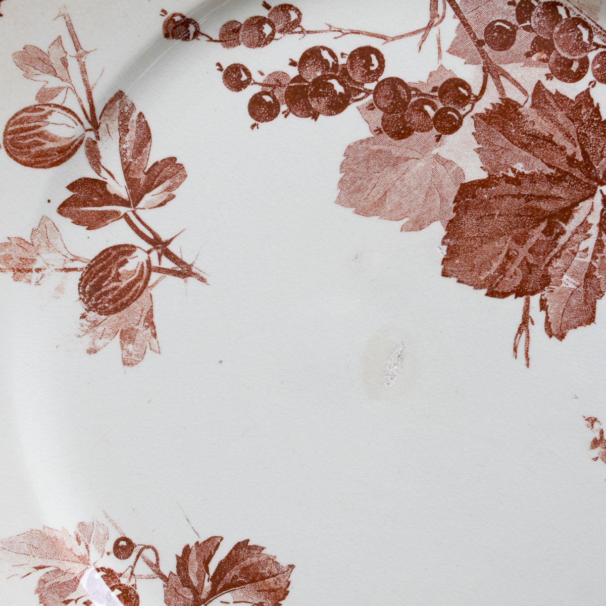 Grosseilles Transferware Dinner Plate Set Of 7 - elsie green - The French Kitchen