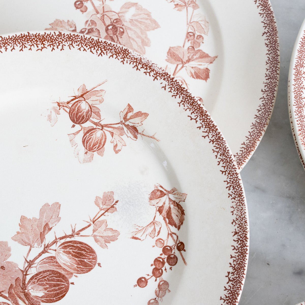 Grosseilles Transferware Dinner Plate Set Of 7 - elsie green - The French Kitchen