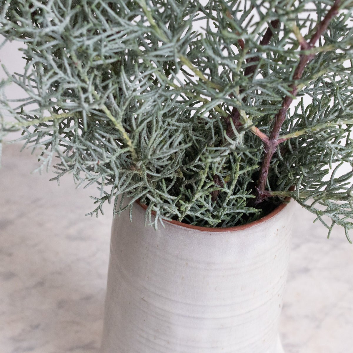 Hand Made Pitcher | Signed By Artist - elsie green - The French Kitchen