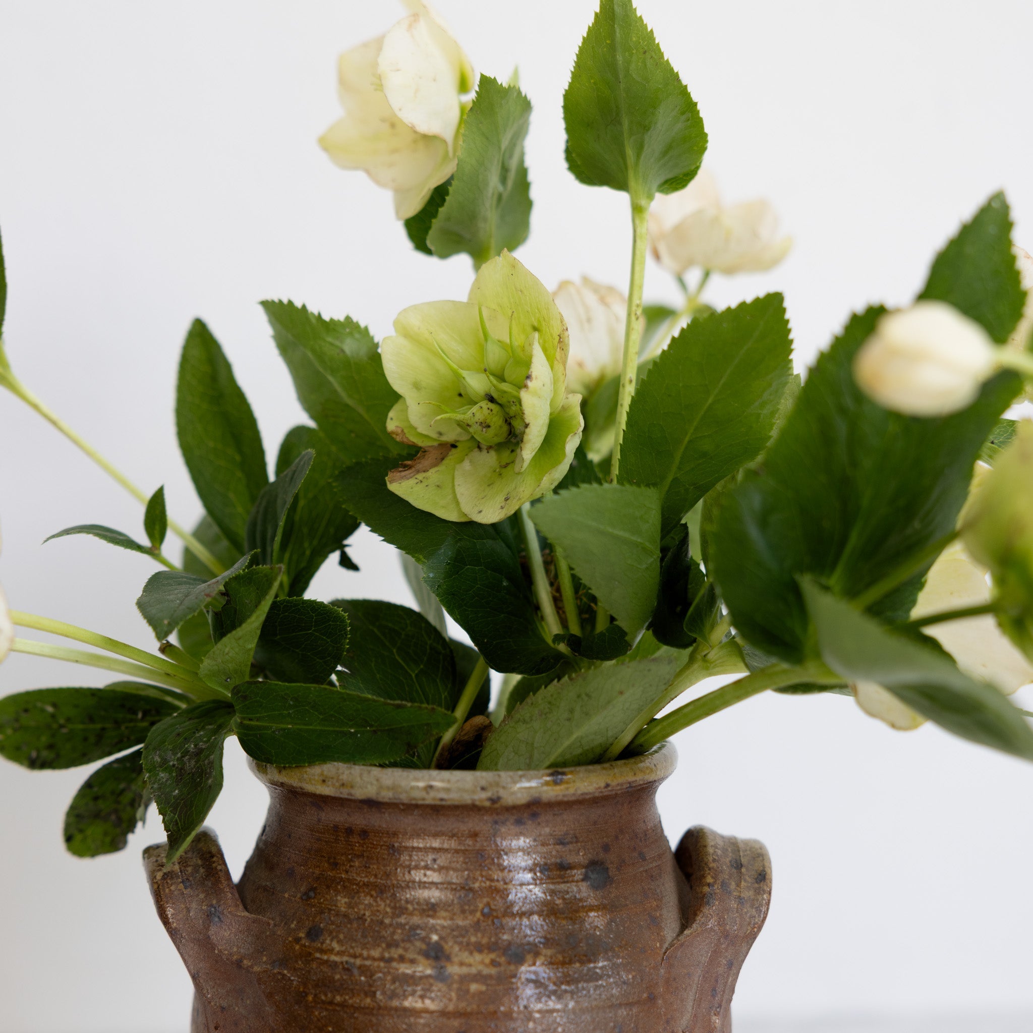 Hand Made Stoneware Crock - elsie green - the french kitchen