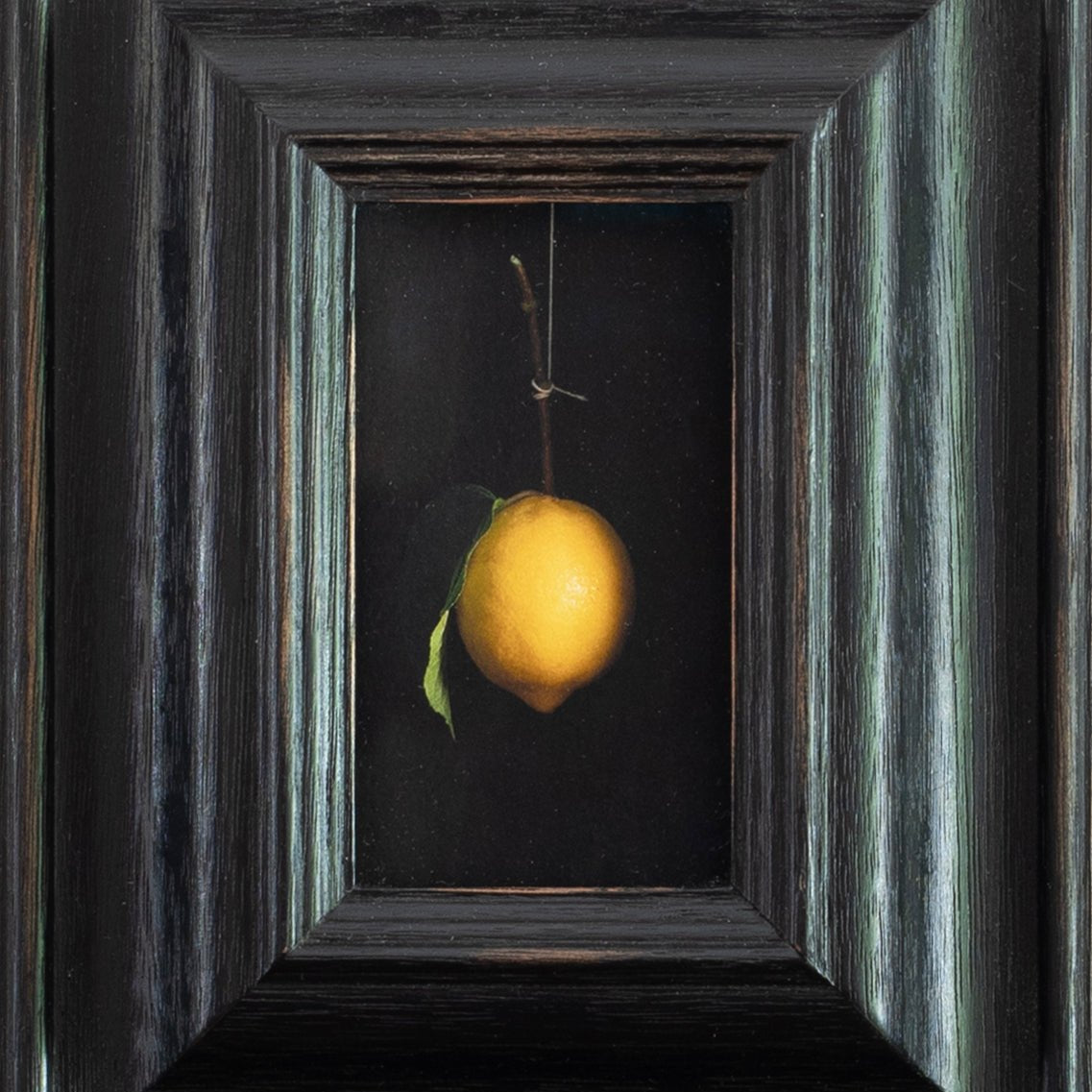 Hanging Lemon | Jefferson Hayman - elsie green - art