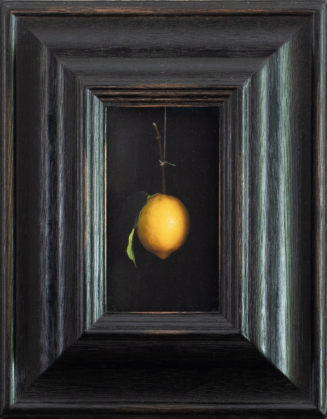 Hanging Lemon | Jefferson Hayman - elsie green - art