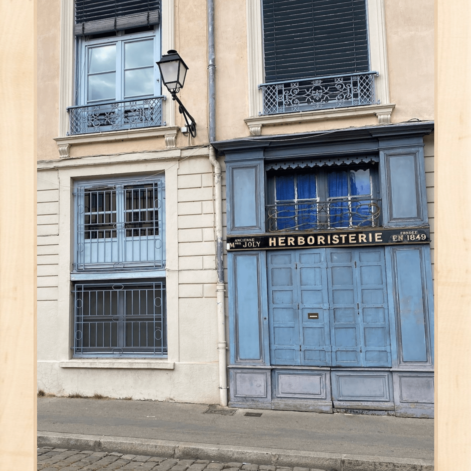 Herboristerie Printed Photograph - elsie green - Art