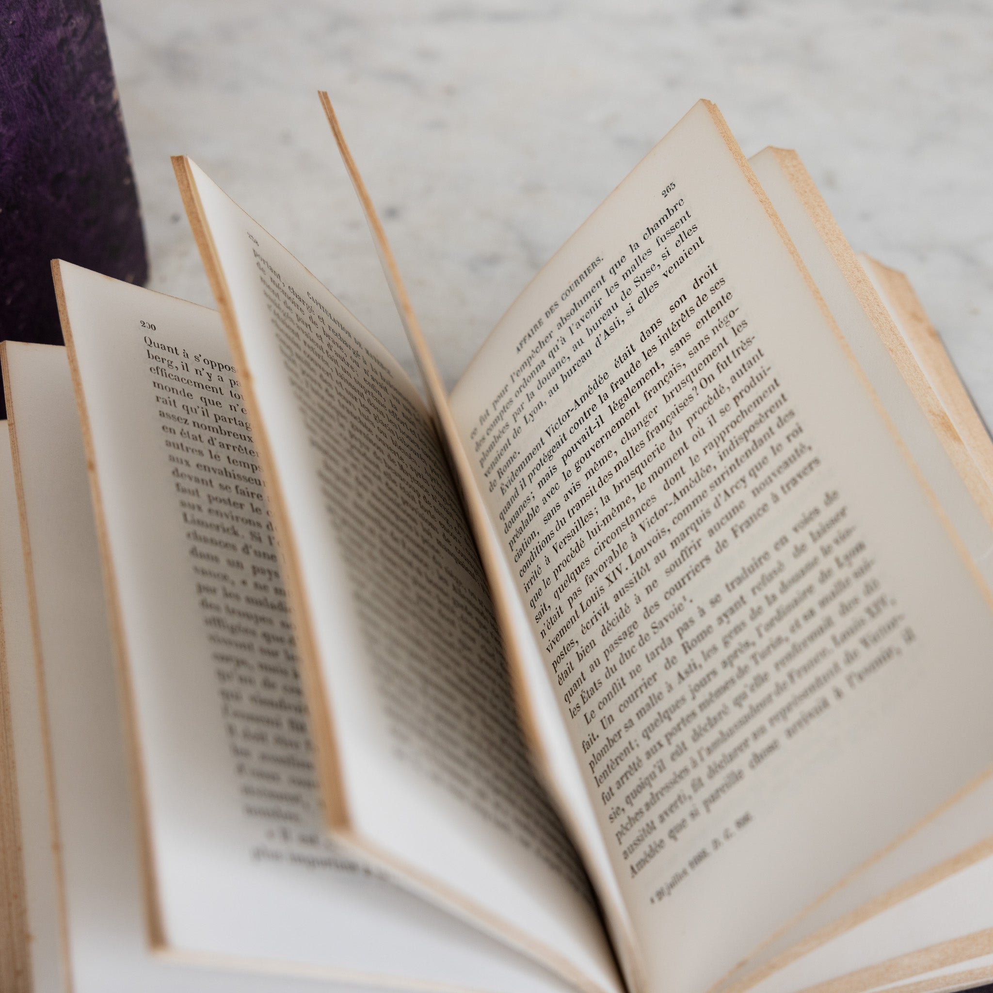 Histoire de Louvois Library Book Set of 4 - elsie green - decor
