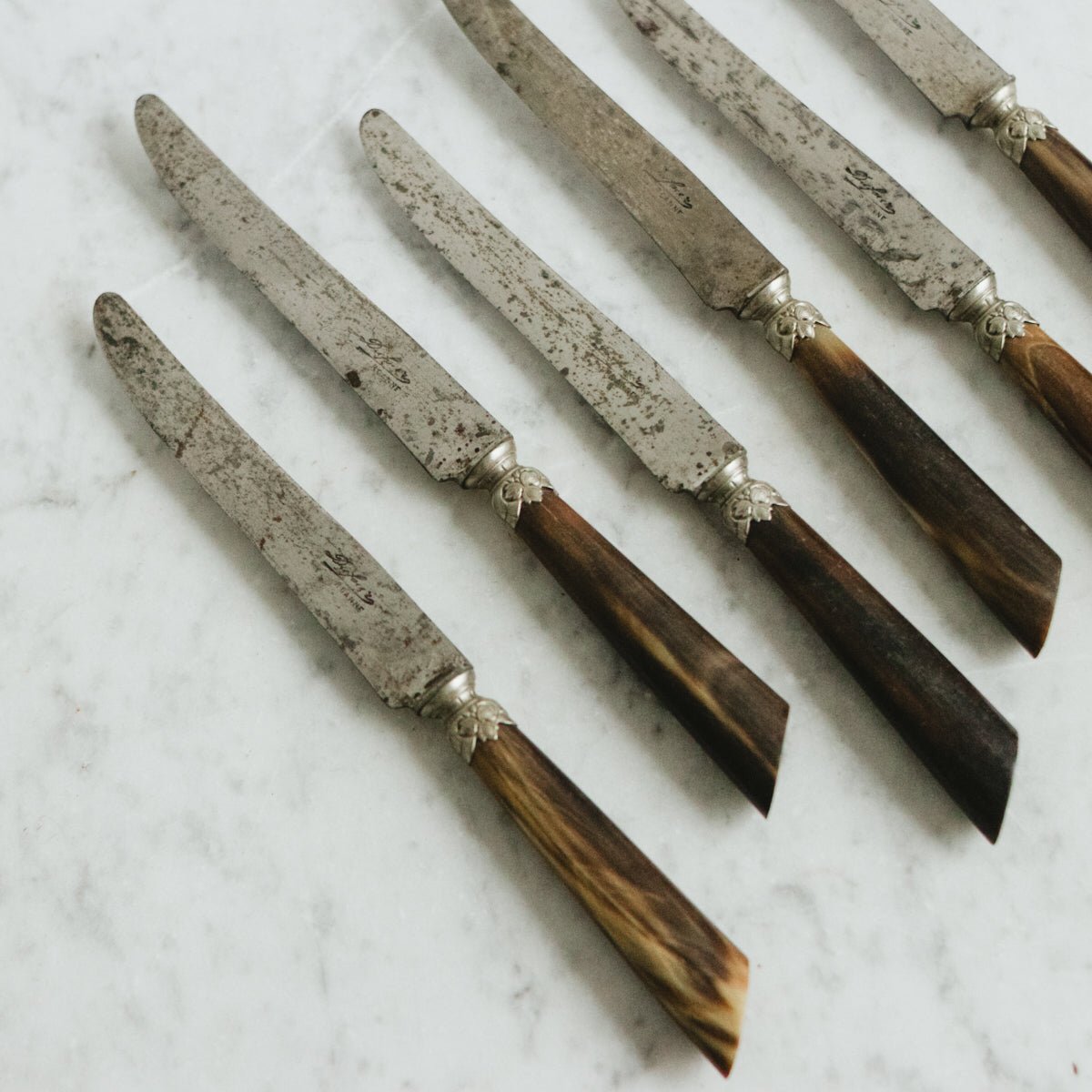 Horn Knife with Stamped Blade Set of 6 - elsie green - the french kitchen