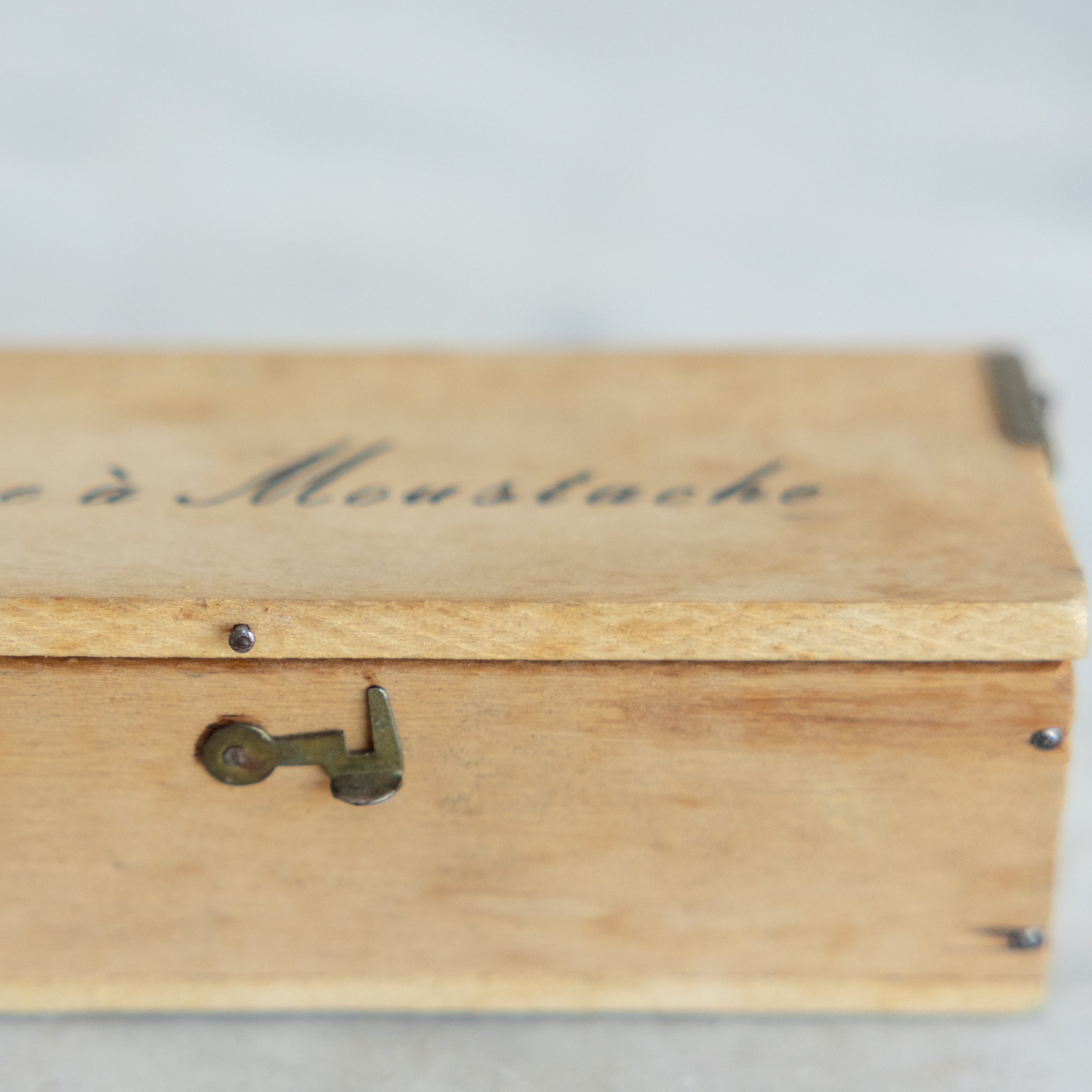 Horn Mustache Comb and Brush - elsie green - decor