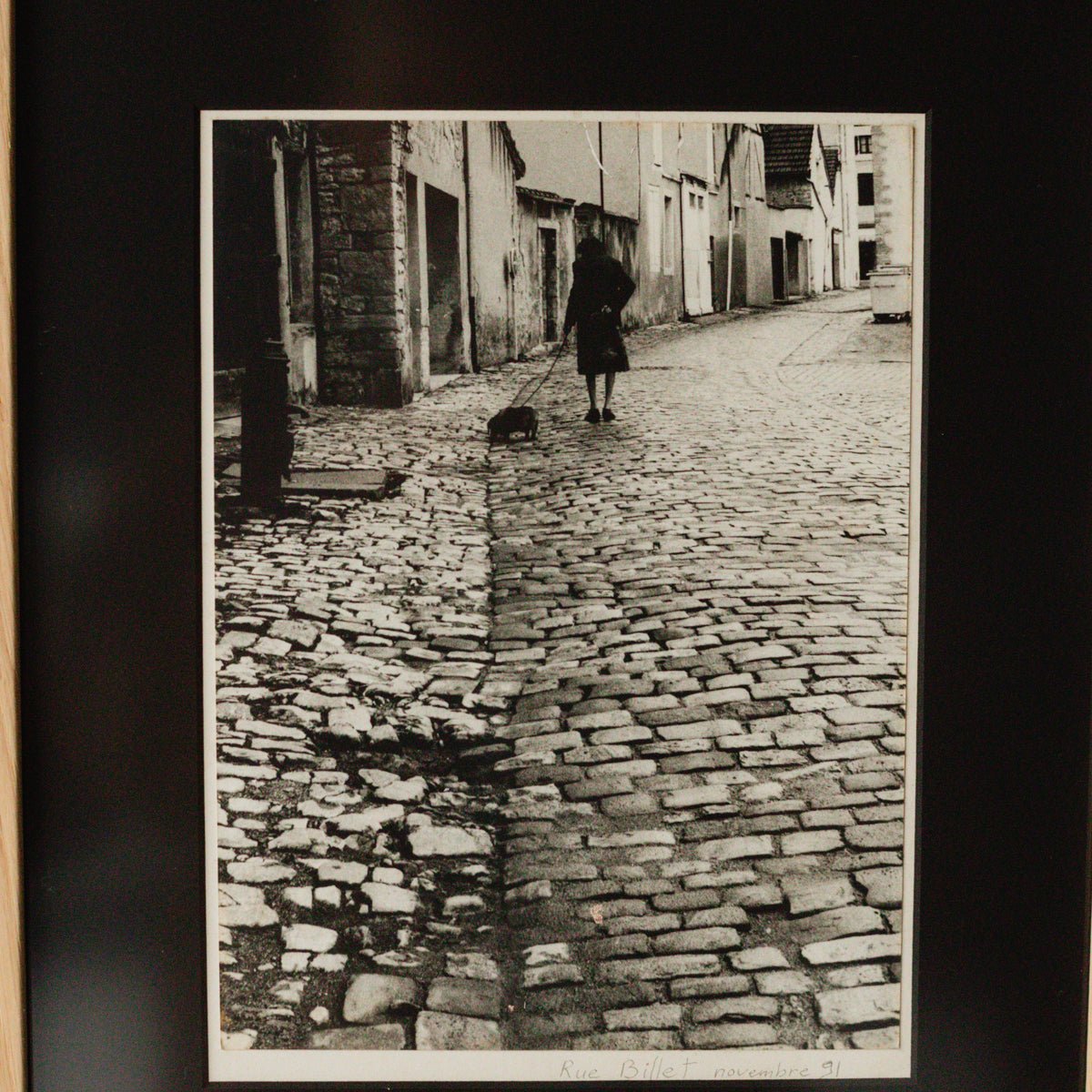 La Dame et Le Chien Photograph - elsie green - art