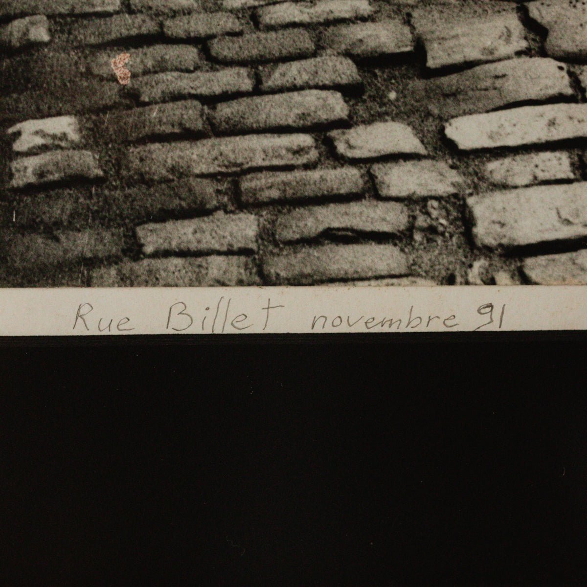 La Dame et Le Chien Photograph - elsie green - art