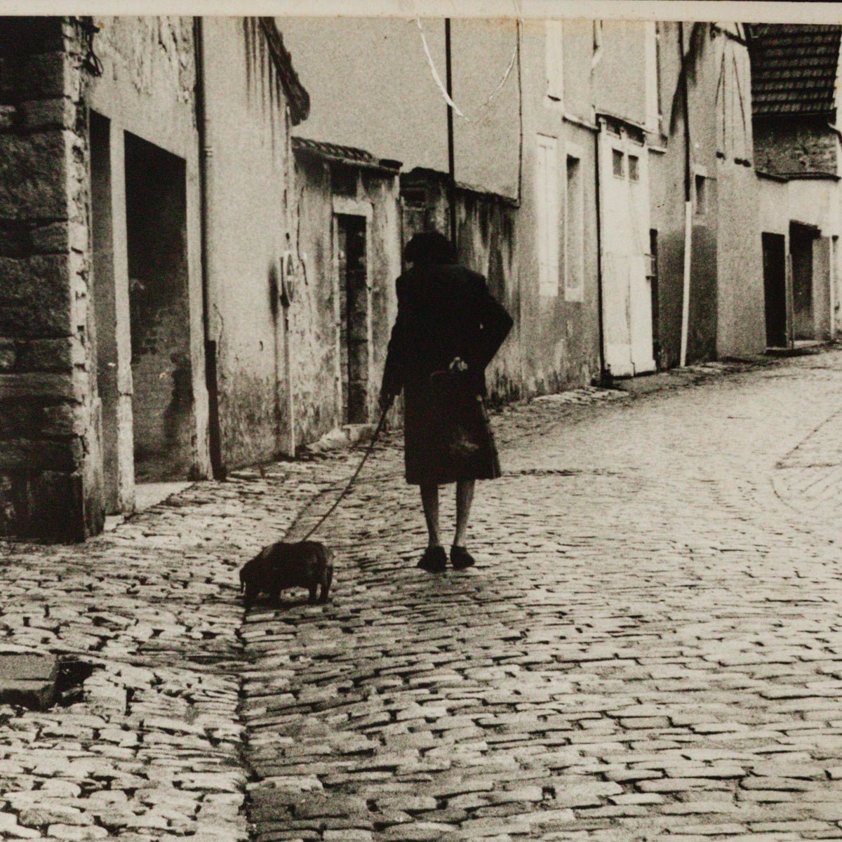 La Dame et Le Chien Photograph - elsie green - art