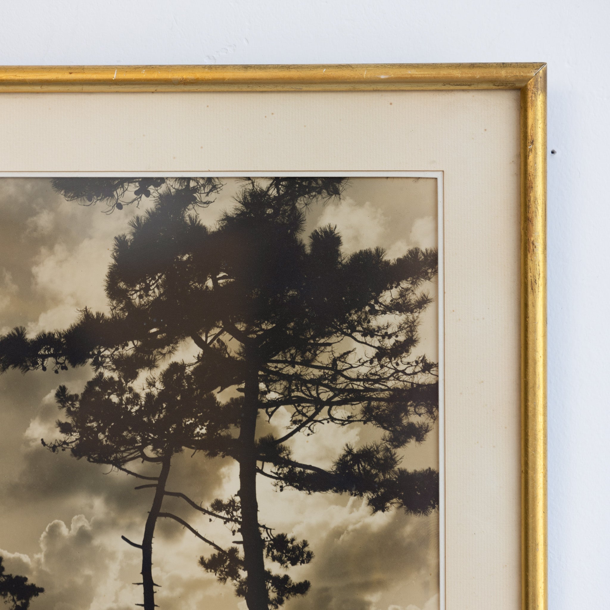 Le Cap Ferret Vintage Photograph - elsie green - art