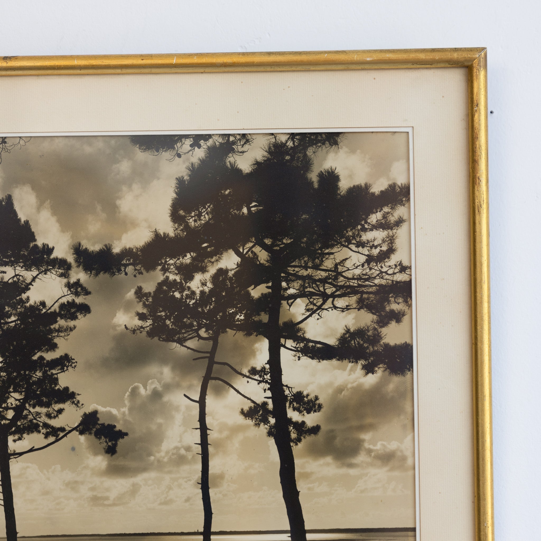 Le Cap Ferret Vintage Photograph - elsie green - art