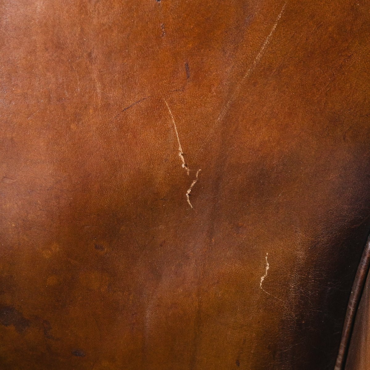 Leather Club Chair - elsie green - The French Kitchen