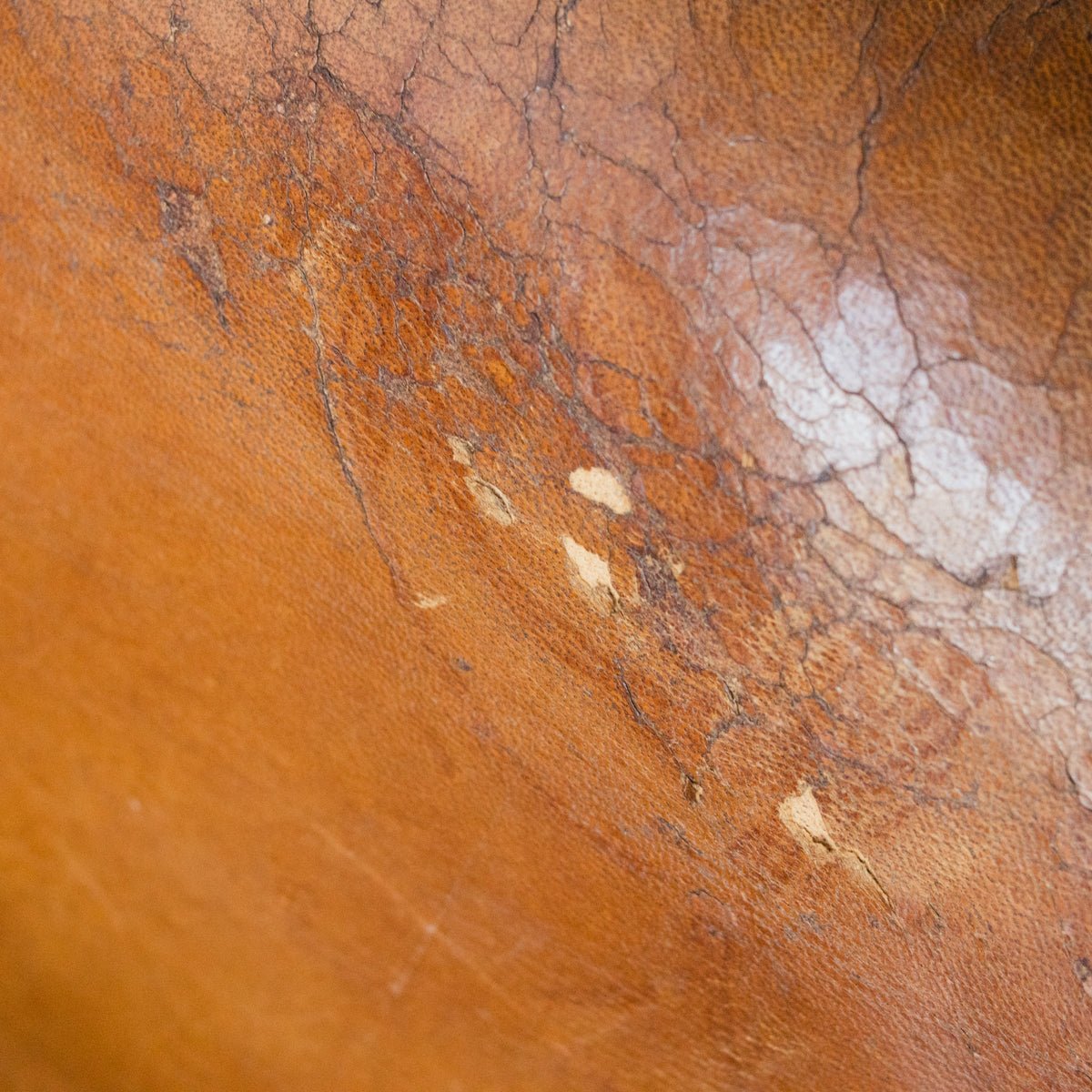 Leather Club Chair - elsie green - The French Kitchen