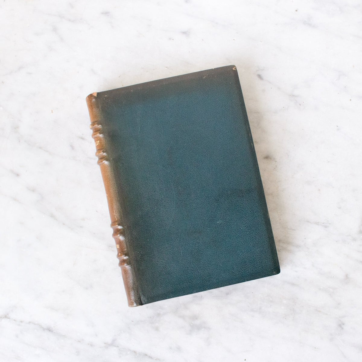 Leather Library Book - elsie green - Decor