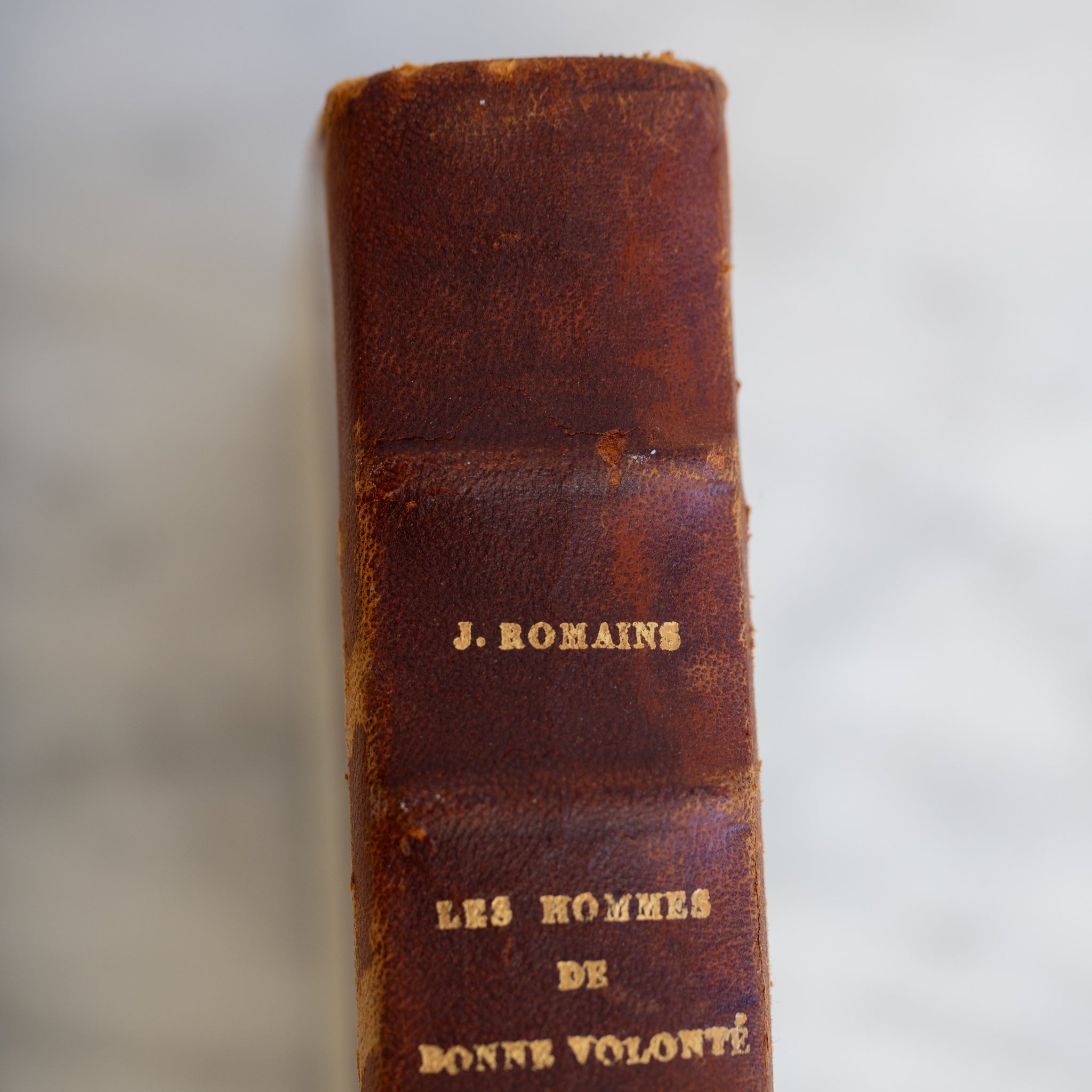 Leather Library Book set of 4 | Les Hommes de Bon Vilant - elsie green - decor