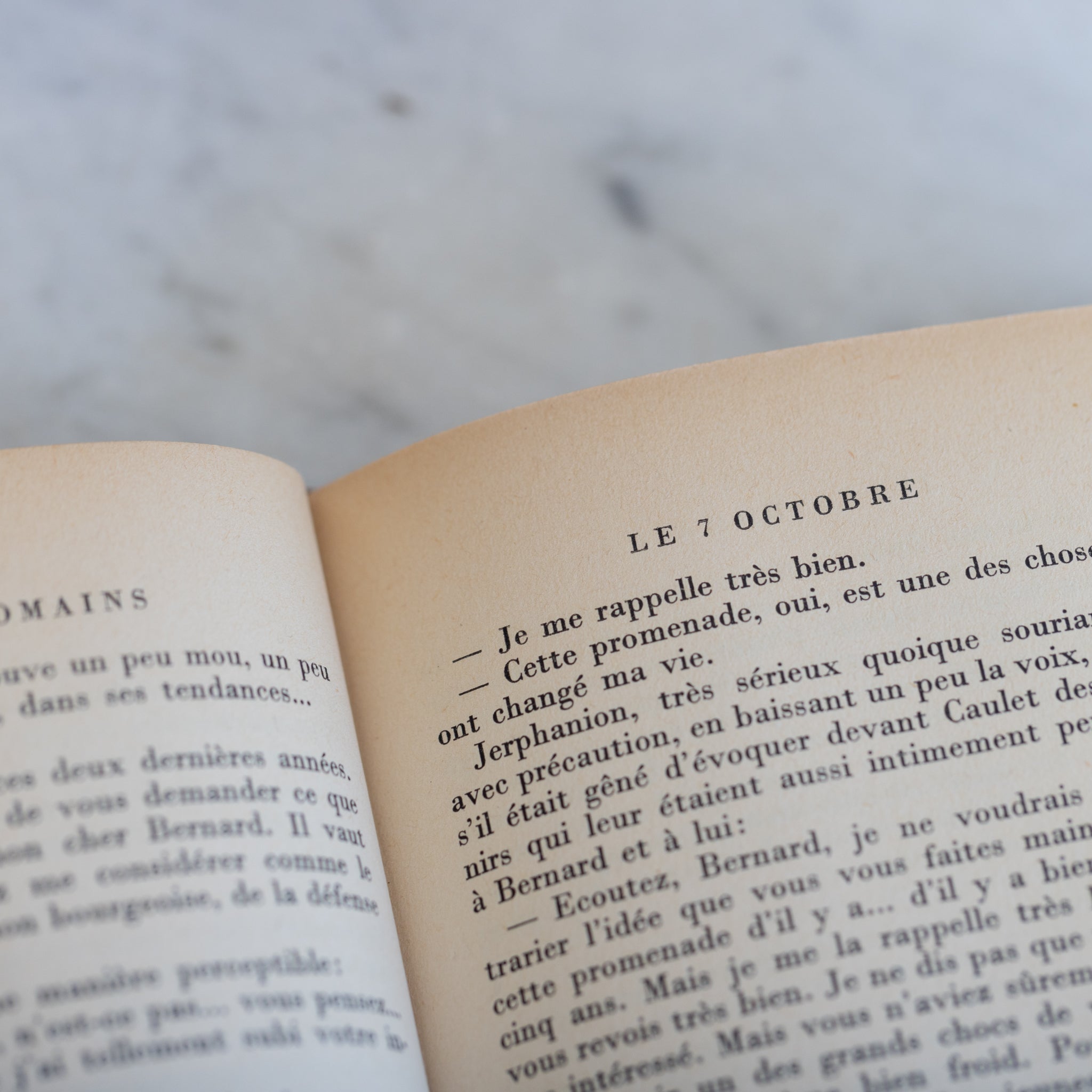 Leather Library Book set of 4 | Les Hommes de Bon Vilant - elsie green - decor