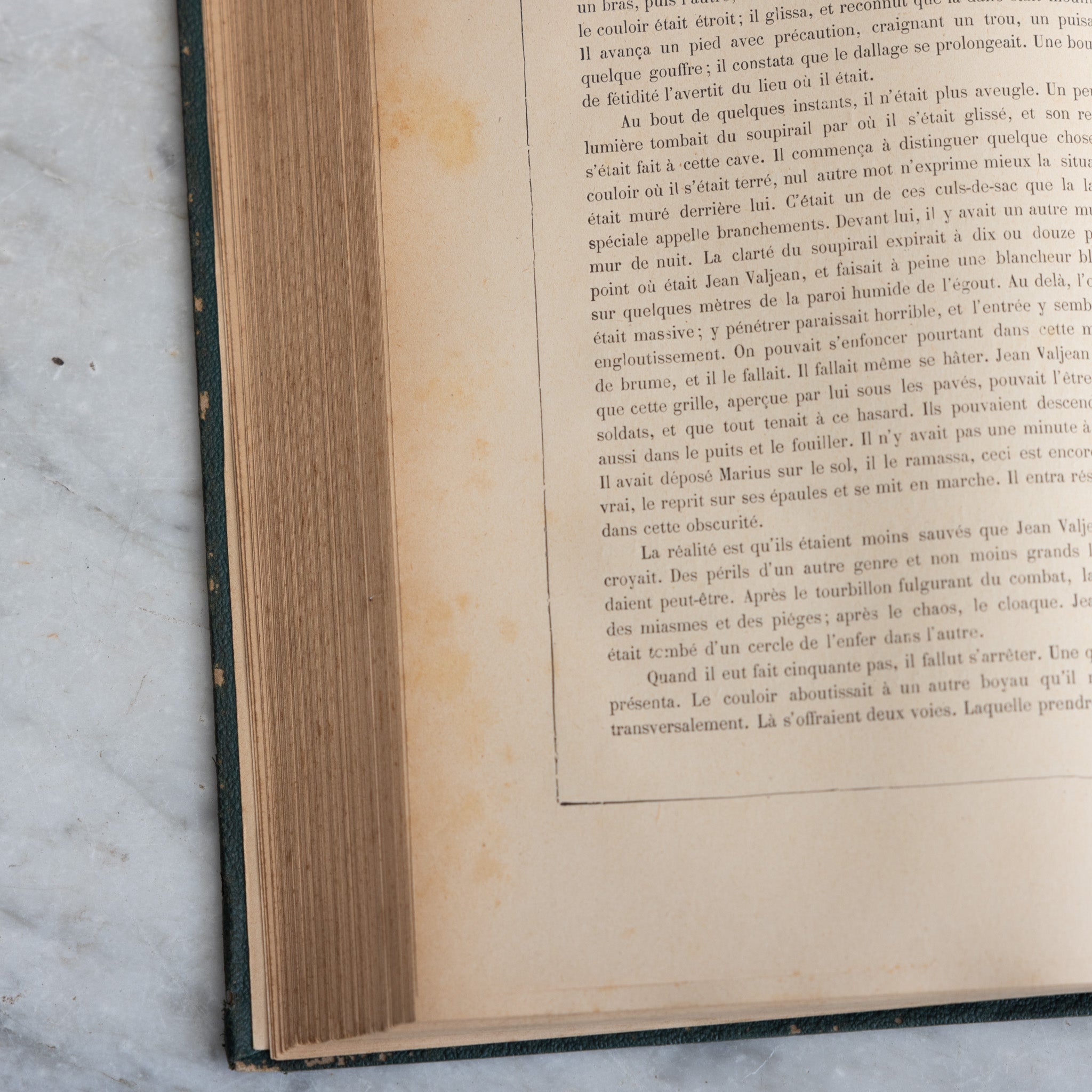 Leather Library Book | Victor Hugo Complete Works Volume 10 - elsie green - decor