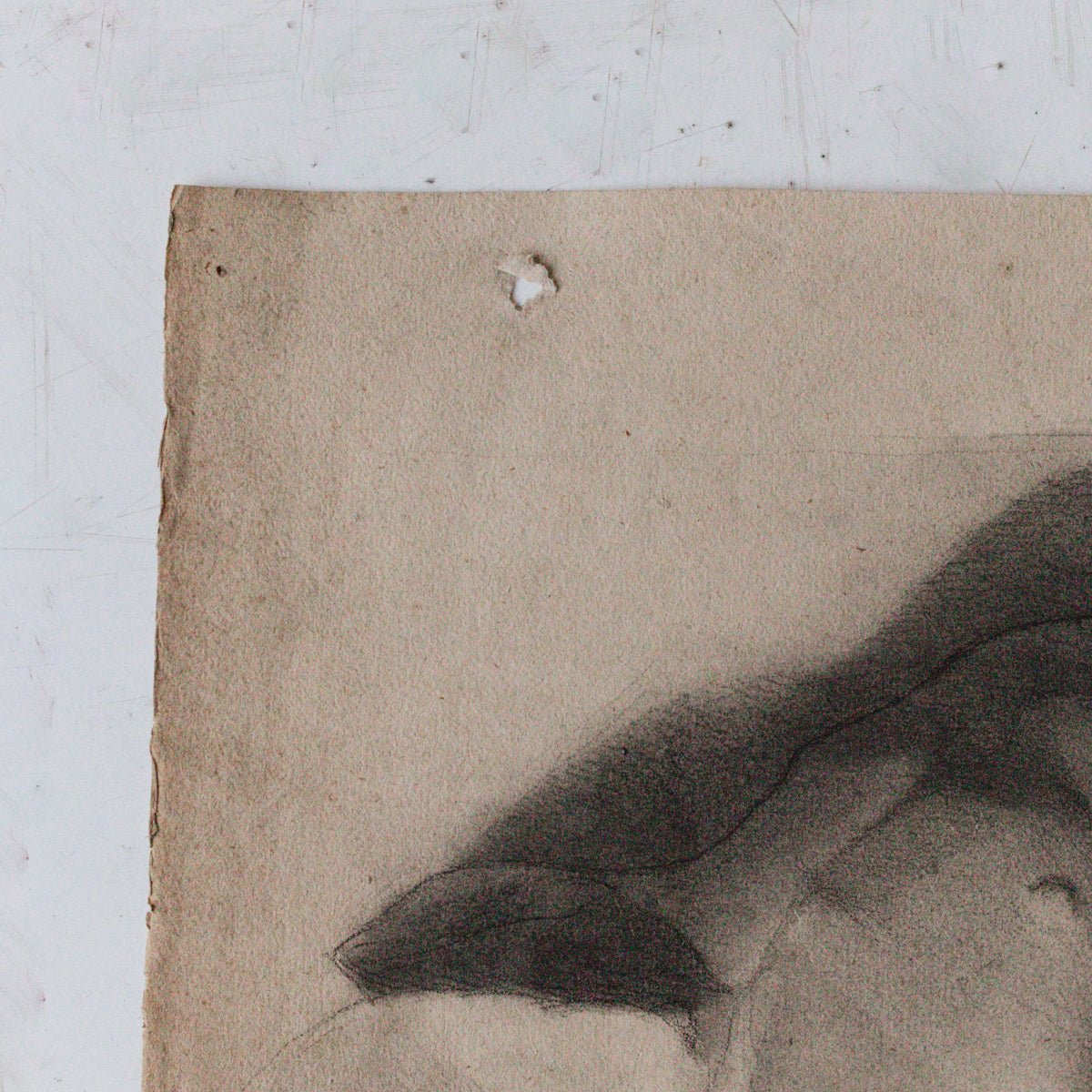 Museum Still Life Drawing - elsie green -