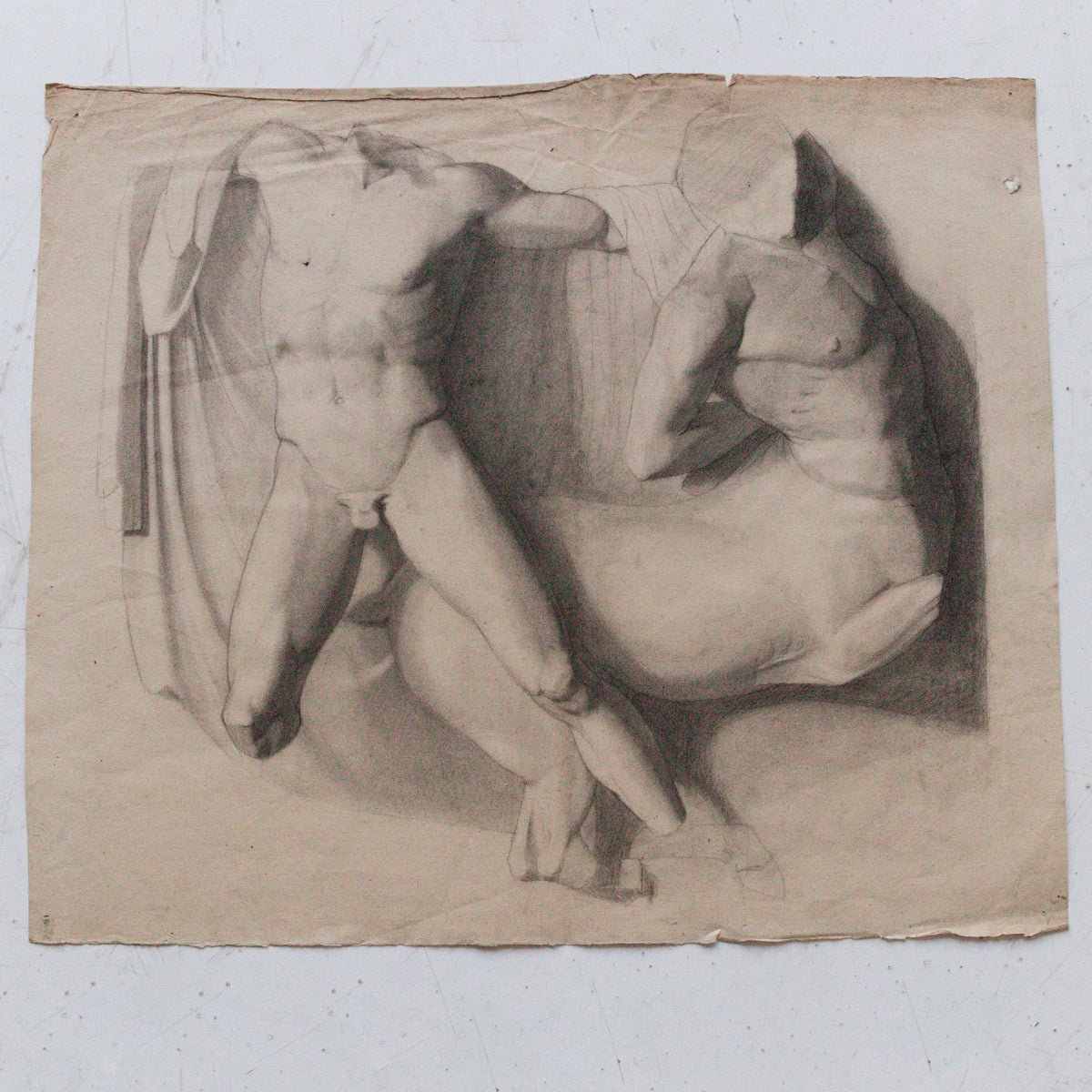 Museum Still Life Drawing - elsie green -