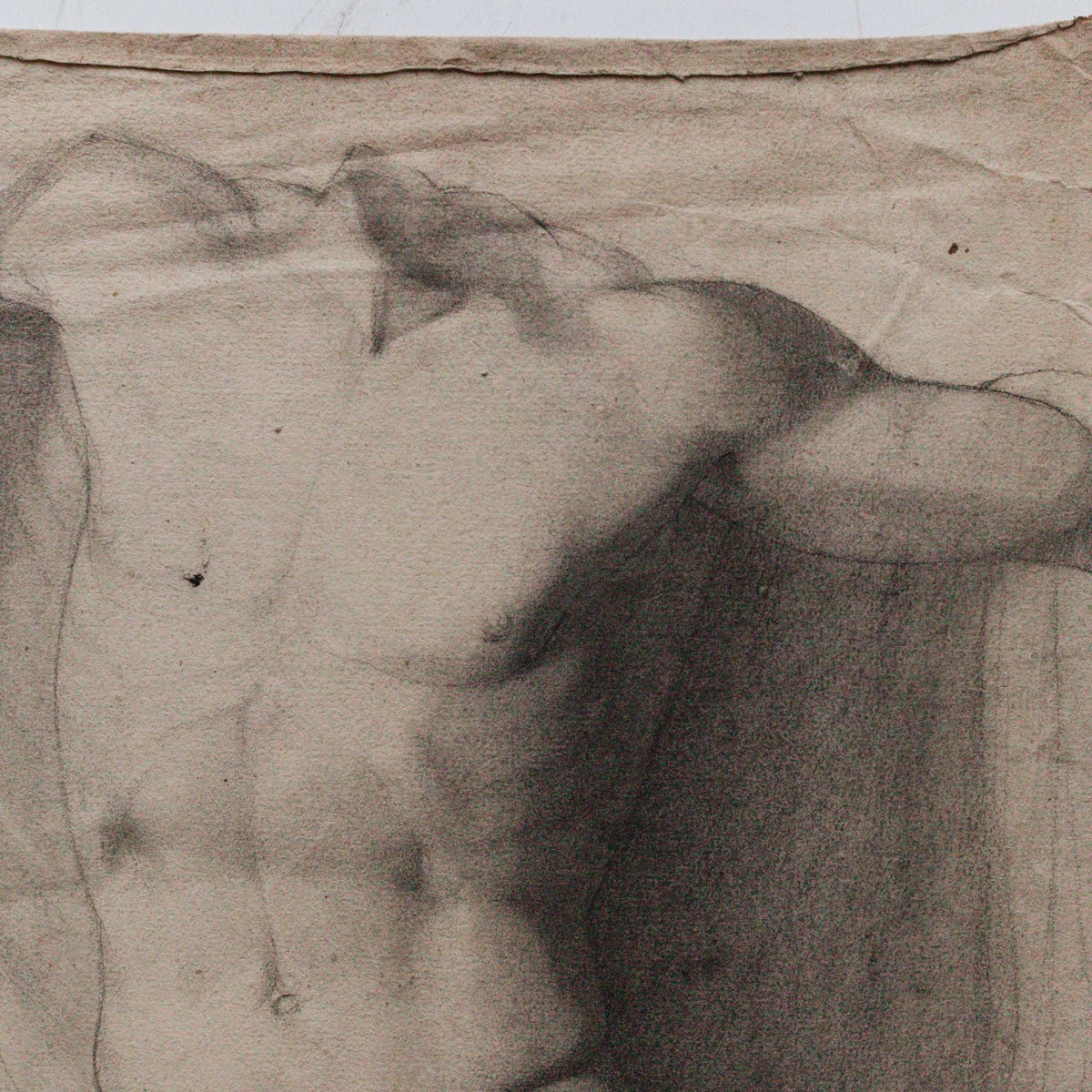 Museum Still Life Drawing - elsie green -