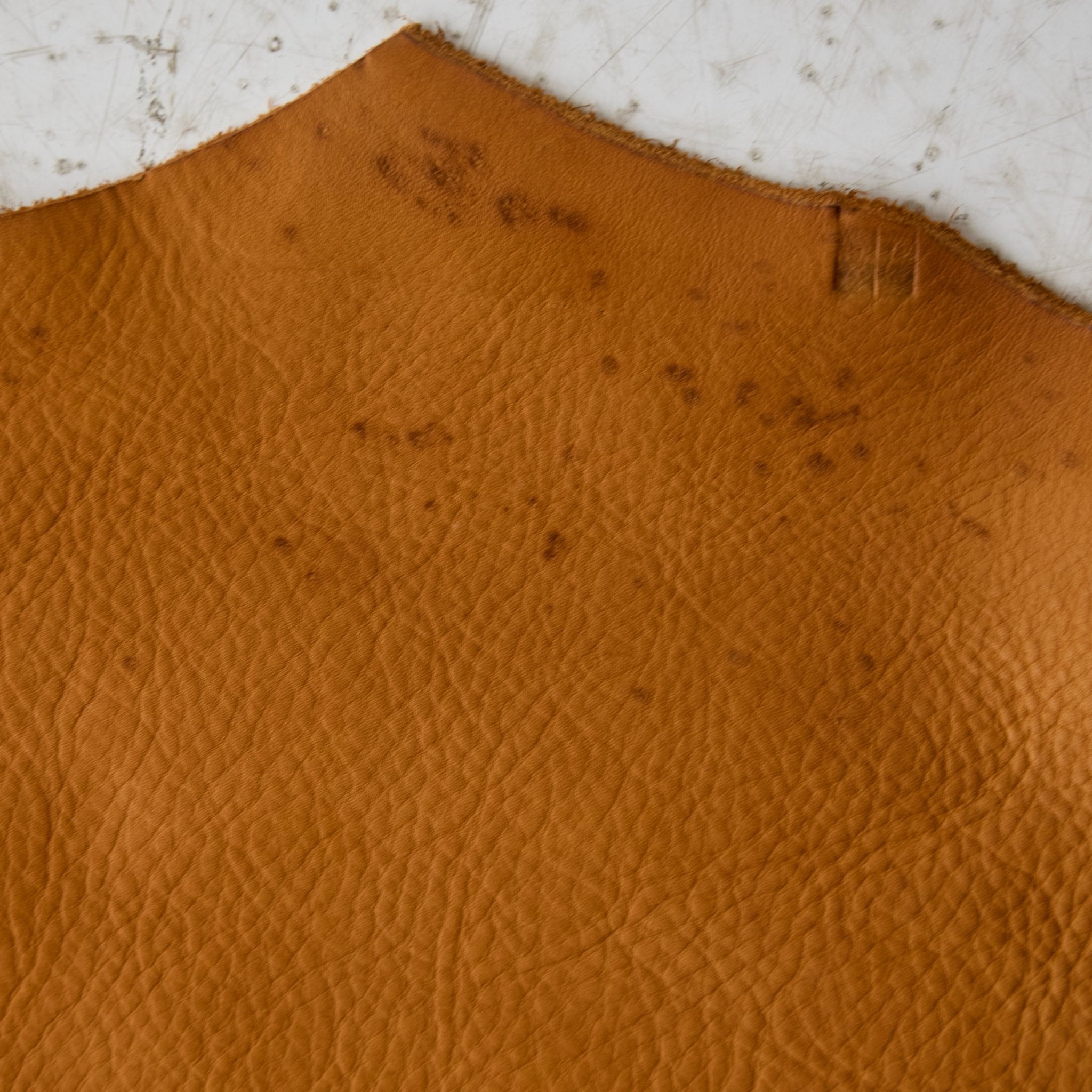 Napa Leather Cow Hide - elsie green - Textiles